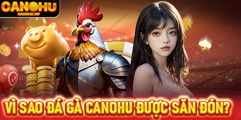 Vì sao đá gà Canohu được cộng đồng cược thủ săn đón?